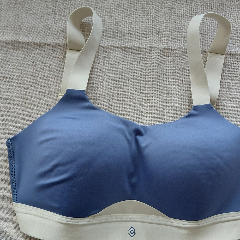 ThirdLove Blue and Cream Bra